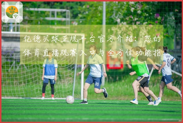 亿德买球正规平台官方介绍：您的体育直播观赛入口与全方位功能指南