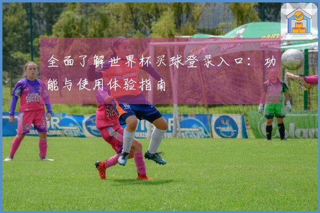 全面了解世界杯买球登录入口：功能与使用体验指南