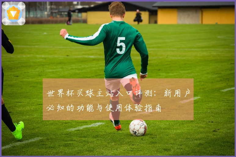 世界杯买球主站入口评测：新用户必知的功能与使用体验指南