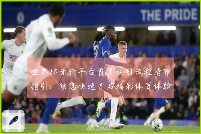 世界杯竞猜平台首页注册流程清晰指引，助您快速开启精彩体育体验