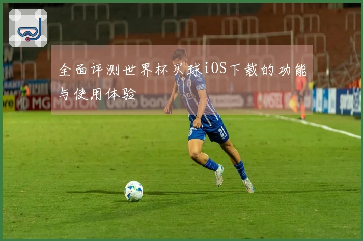 全面评测世界杯买球iOS下载的功能与使用体验