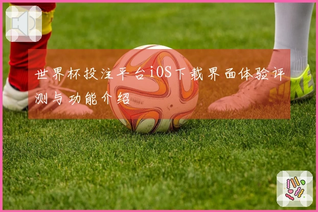 世界杯投注平台iOS下载界面体验评测与功能介绍