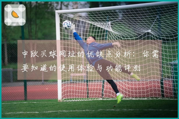 中欧买球网址的优缺点分析：你需要知道的使用体验与功能评测