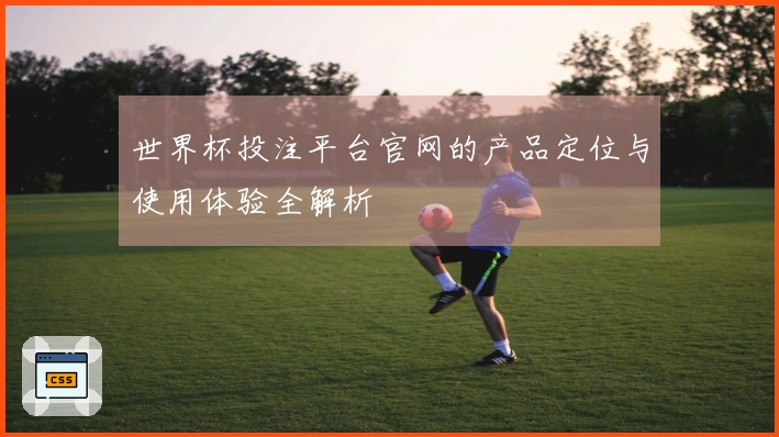世界杯投注平台官网的产品定位与使用体验全解析