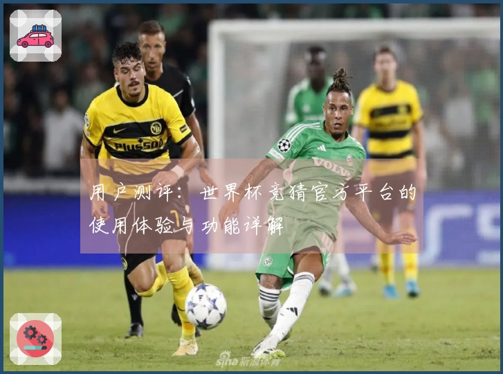 用户测评:世界杯竞猜官方平台的使用体验与功能详解