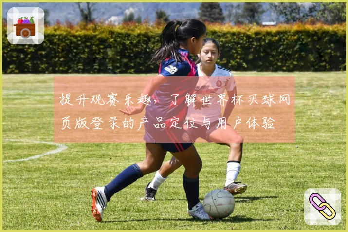 提升观赛乐趣，了解世界杯买球网页版登录的产品定位与用户体验