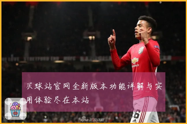 买球站官网全新版本功能详解与实用体验尽在本站