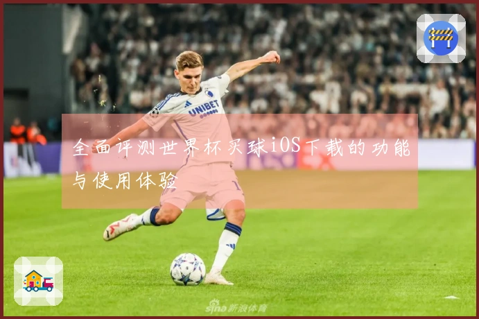 全面评测世界杯买球iOS下载的功能与使用体验