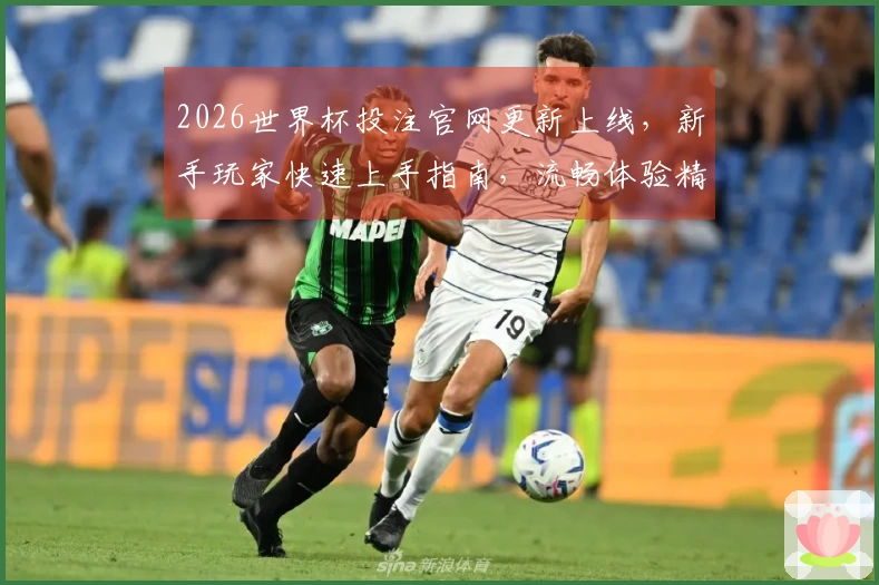 2026世界杯投注官网更新上线，新手玩家快速上手指南，流畅体验精彩赛事