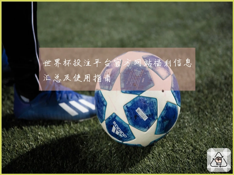 世界杯投注平台官方网站福利信息汇总及使用指南