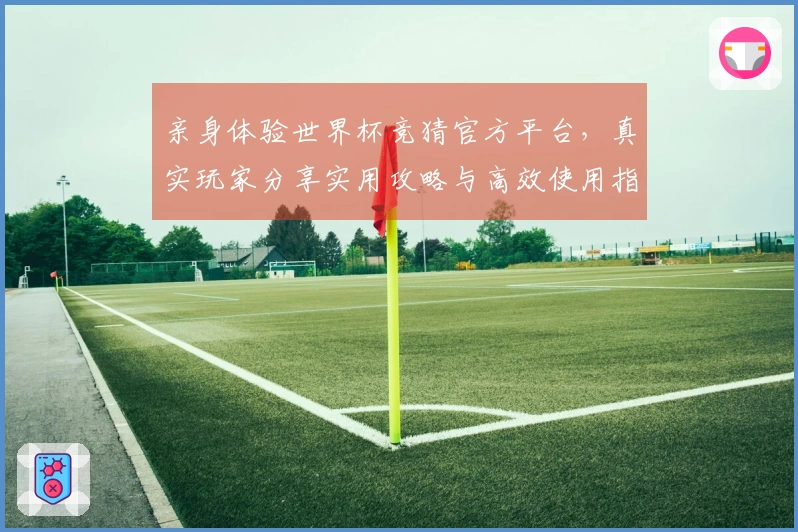 亲身体验世界杯竞猜官方平台,真实玩家分享实用攻略与高效使用指南