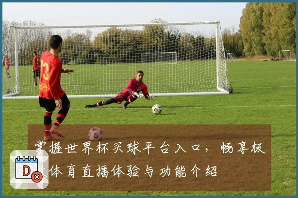 掌握世界杯买球平台入口，畅享极致体育直播体验与功能介绍