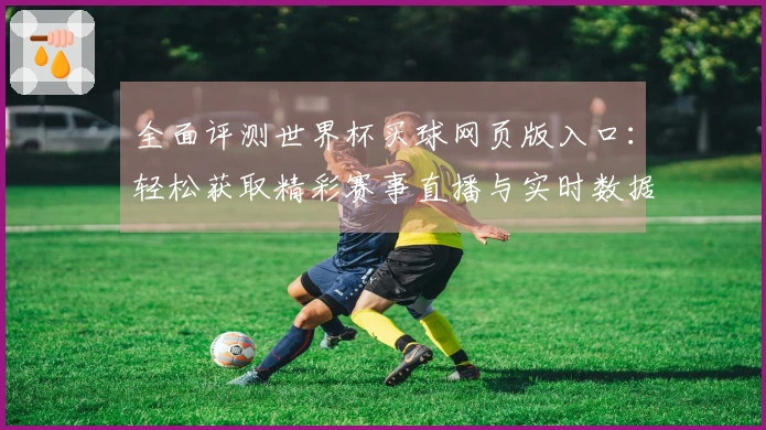 全面评测世界杯买球网页版入口：轻松获取精彩赛事直播与实时数据