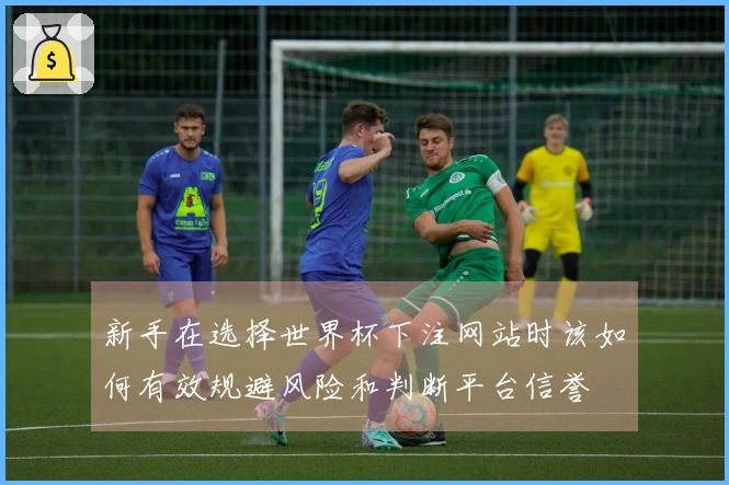 新手在选择世界杯下注网站时该如何有效规避风险和判断平台信誉