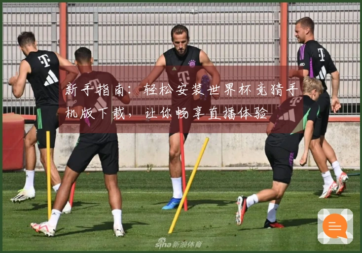新手指南：轻松安装世界杯竞猜手机版下载，让你畅享直播体验