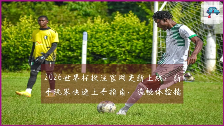 2026世界杯投注官网更新上线，新手玩家快速上手指南，流畅体验精彩赛事