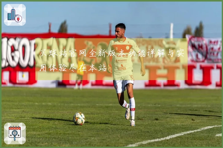 买球站官网全新版本功能详解与实用体验尽在本站