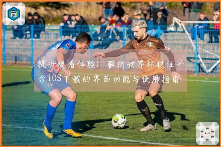 提升观看体验：解析世界杯投注平台iOS下载的界面功能与使用指南